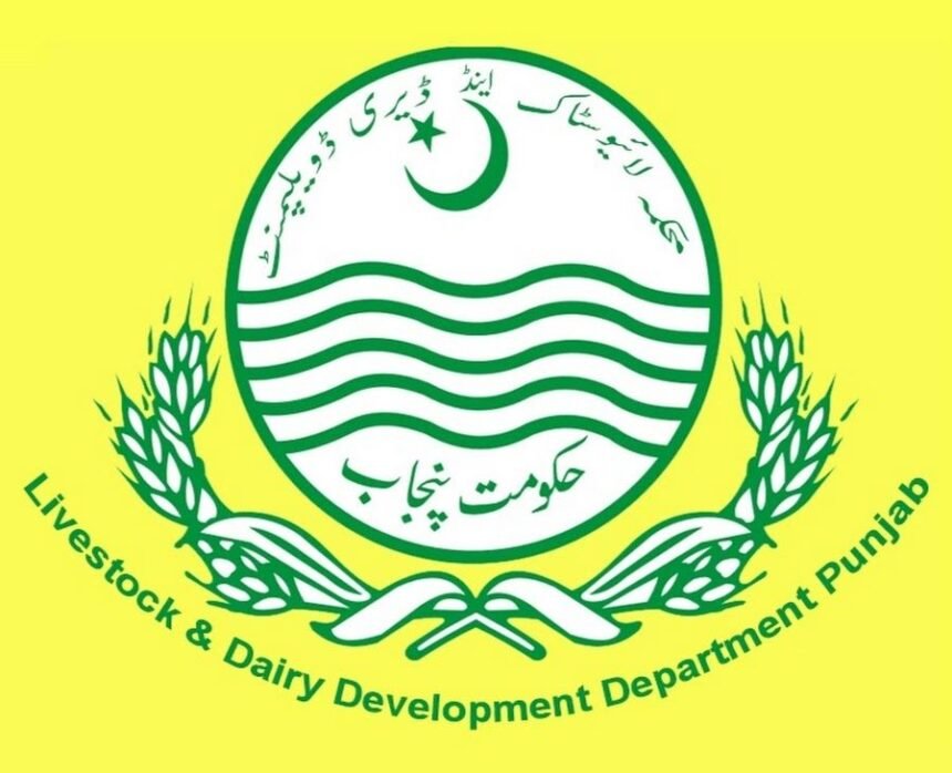 Punjab govt to provide new veterinary diagnostic equipment at tehsil level