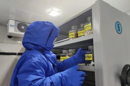 Shanghai seed bank hits 100 million samples in biodiversity conservation push