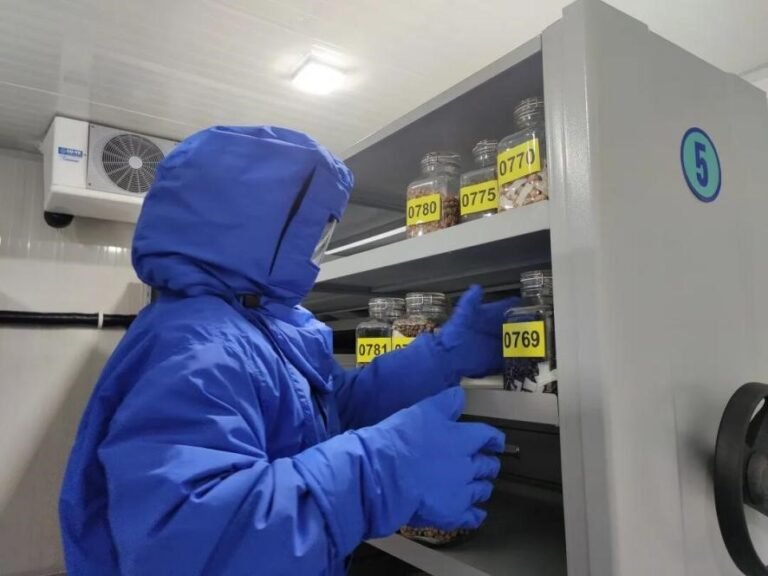 Shanghai seed bank hits 100 million samples in biodiversity conservation push