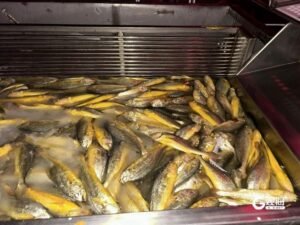 Engineering the ocean: China's smart vessels transform aquaculture industry Engineering the ocean: China's smart vessels transform aquaculture industry