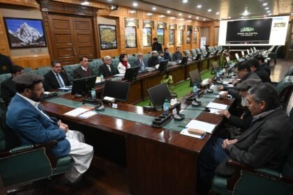 GB launches first energy-sector public–private partnership for 24/7 power in Hunza