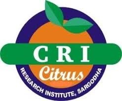 Punjab launches seedless and pigmented kinnow research to revive citrus exports