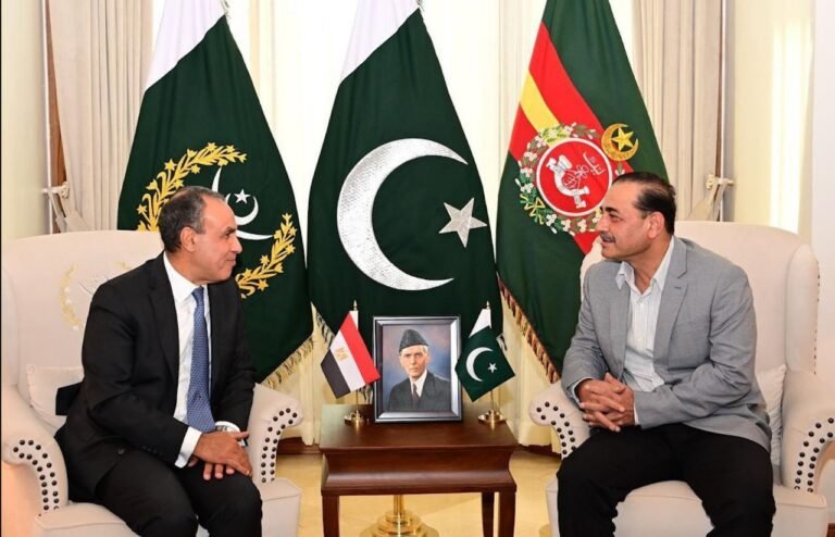 Egyptian foreign minister meeting Pakistan’s COAS during defence cooperation talks.