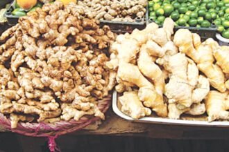 Pakistan targets import cut as domestic ginger production goes up
