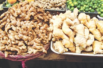 Pakistan targets import cut as domestic ginger production goes up