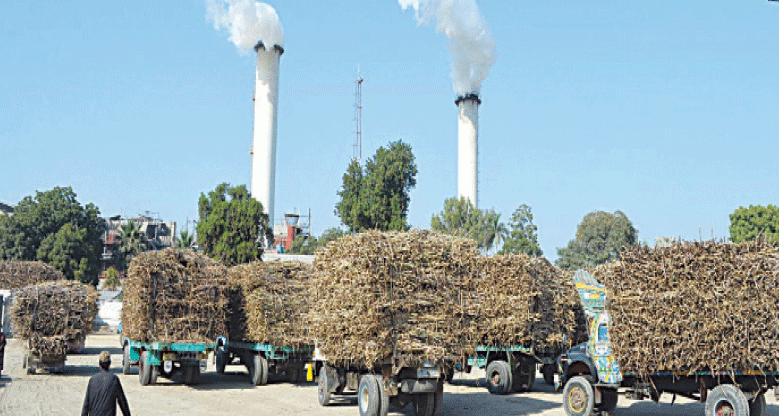 Punjab records higher sugar recovery as crushing season gains pace