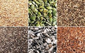 Govt expands seed inspection network to curb fake, substandard seed