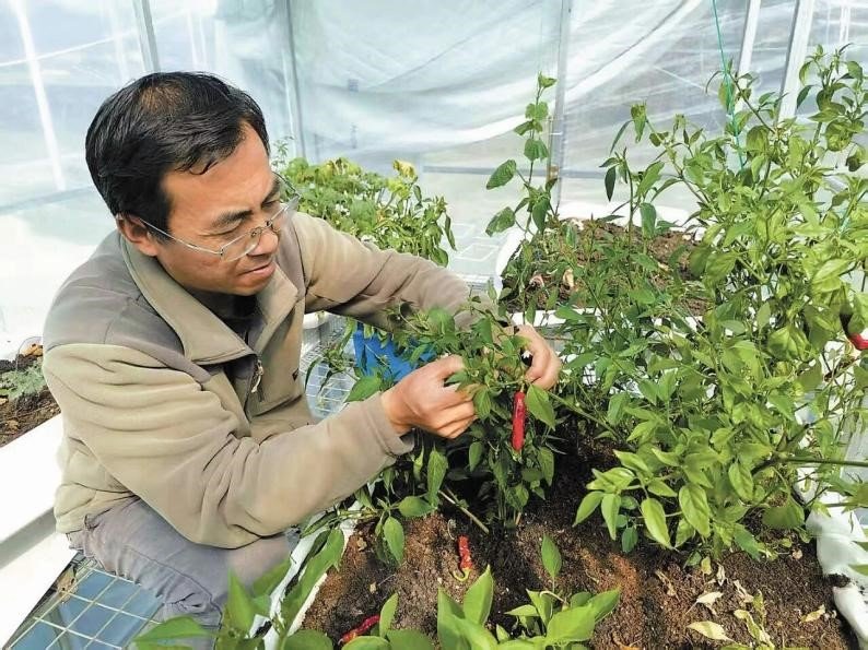 Professor helps high-altitude communities grow fresh vegetables year-round