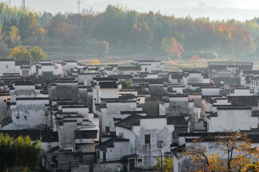 Homestays catalyzing rural and tourism growth in Huangshan