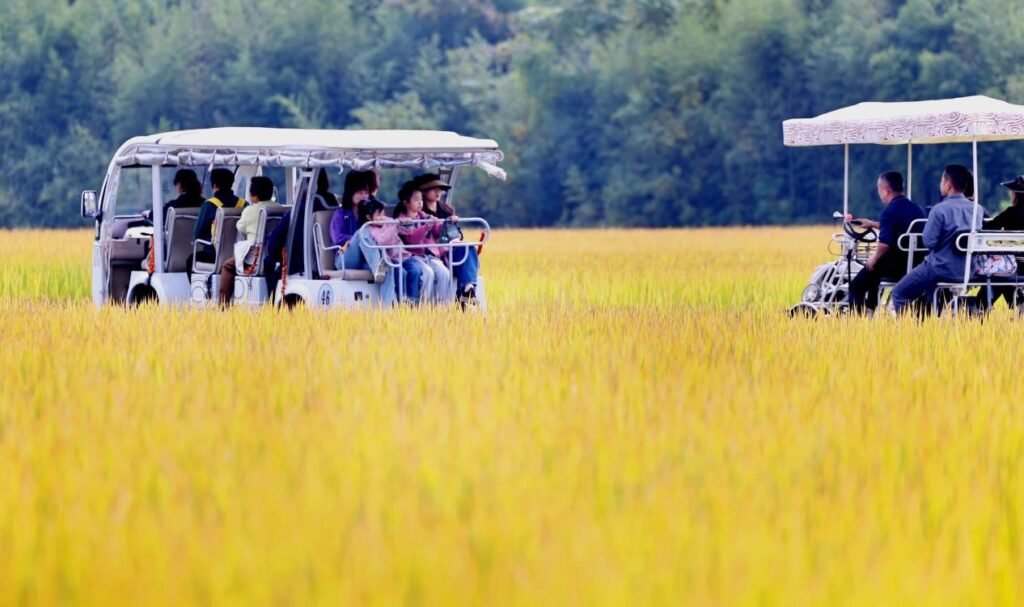 At 5,000-year-old Liangzhu, cultural heritage is integrated into community life