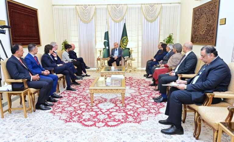 Prime Minister Shehbaz Sharif meets Ericsson executives to discuss support for foreign and strategic technology investors.