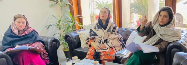 Committee meeting on Acid and Crime Bill amendments at KP Women Commission