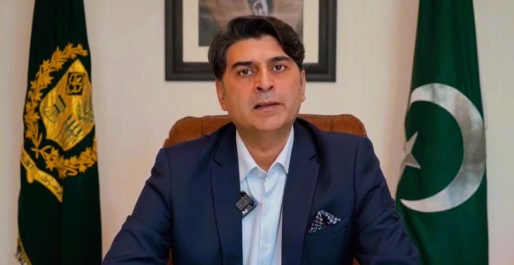 Paper mulberry removal to cut Islamabad allergy cases by over 40%: minister Paper mulberry removal to cut Islamabad allergy cases by over 40%: minister