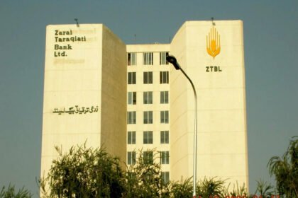 ZTBL demonstrates low-cost ginger cultivation model under olive trees