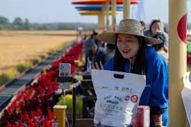 China’s top grain-producing province boosts farm income through expanded contract farming