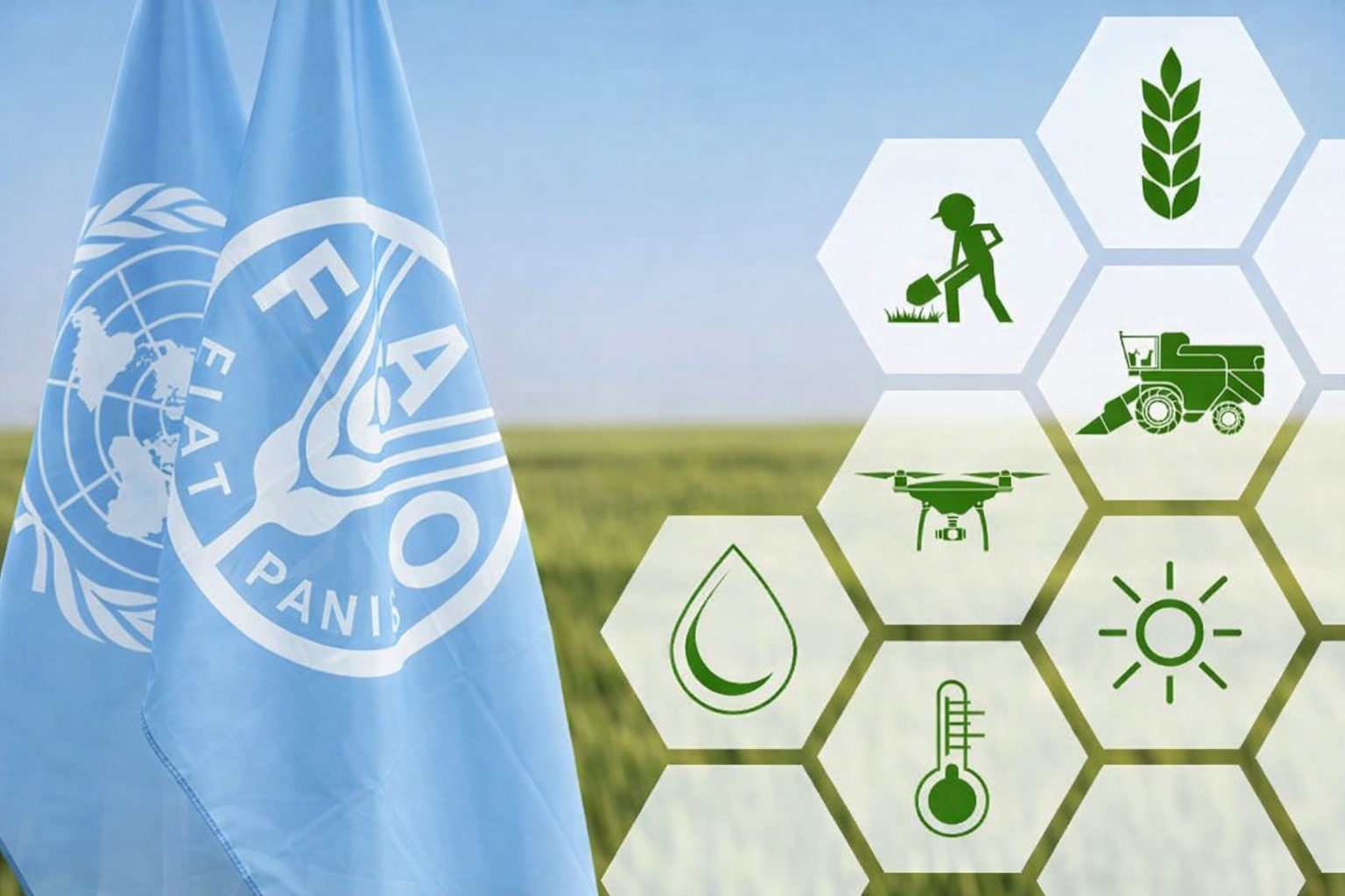 FAO to host agriculture investment summit in Islamabad on Feb 3