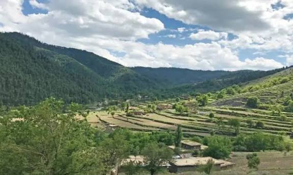 Temporary Evacuation in Tirah Based on Consensus, Not Military Operation Claims