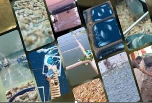 What’s Green Corporate Livestock Initiative – What it Brings for Pakistan?