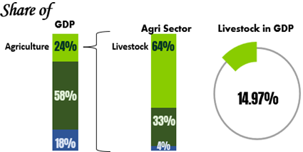 What’s Green Corporate Livestock Initiative – What it Brings for Pakistan?