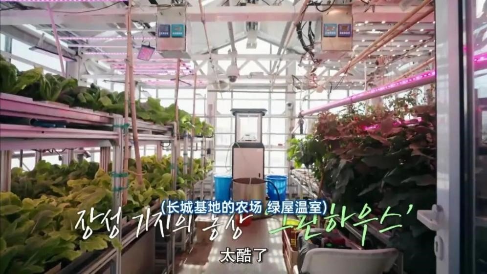 Storm-stranded South Korean cast finds refuge at Chinese Antarctic research station