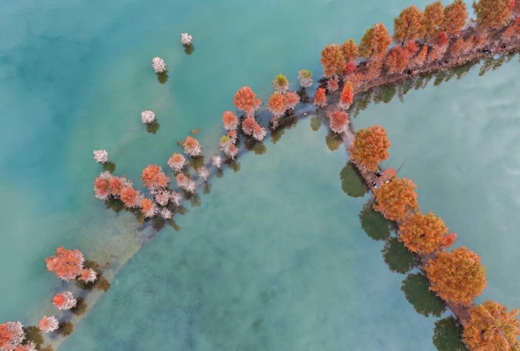 Improved water ecology transformed into economic benefits in Kaizhou district, Chongqing Improved water ecology transformed into economic benefits in Kaizhou district, Chongqing