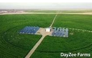 What’s Green Corporate Livestock Initiative – What it Brings for Pakistan?