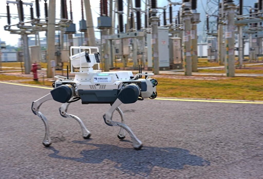 How global rankings reflect China's innovation momentum