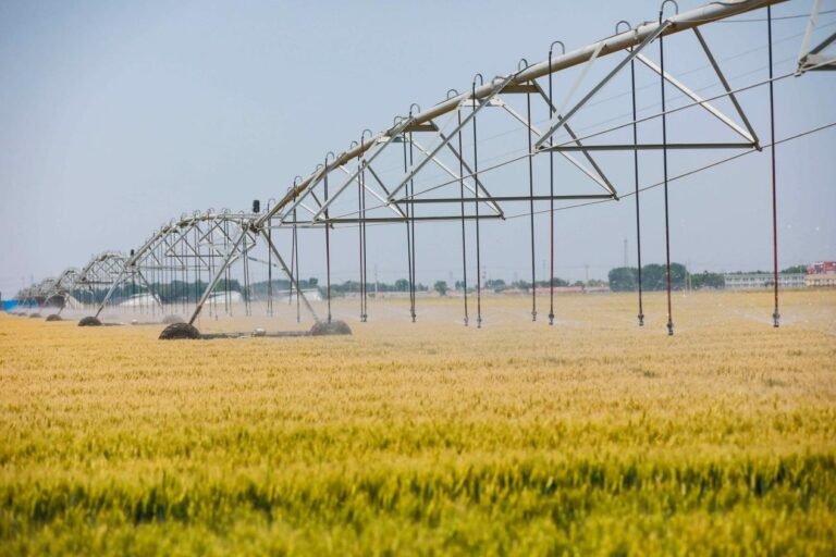 China prioritizes water conservation industry for sustainable growth China prioritizes water conservation industry for sustainable growth