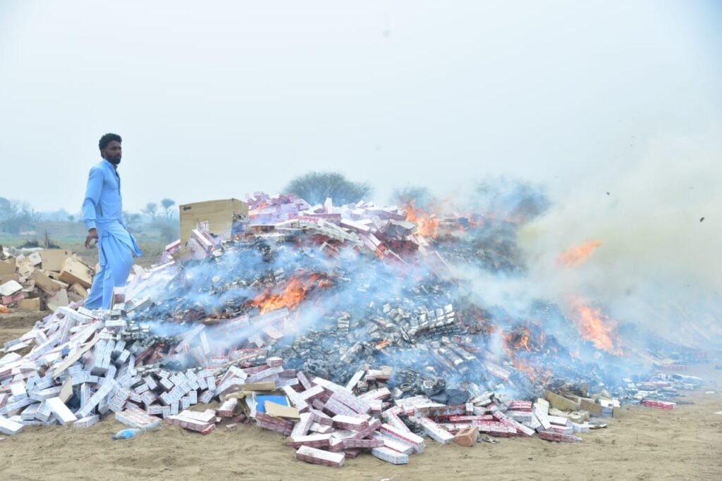 RTO Rawalpindi burns illegal cigarettes worth Rs30 million in Jhelum