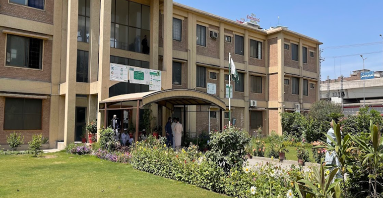 KP Education Department to launch mobile app for staff attendance in government schools