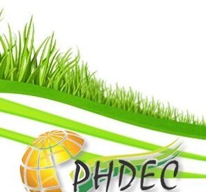 Use of mango bag likely to hit 10m in 2026 as export prices jump 70%