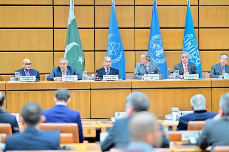 PM calls for renewed global push on inclusive growth at Vienna event