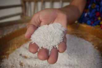 Pakistan negotiates rice export deals with Philippines, China