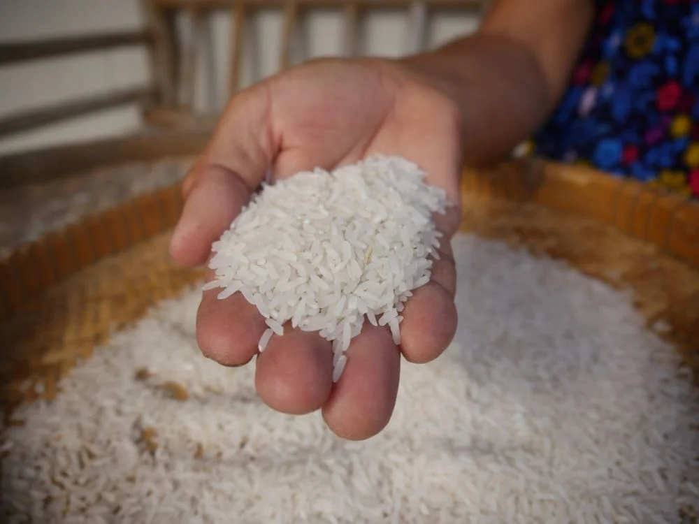 Pakistan negotiates rice export deals with Philippines, China