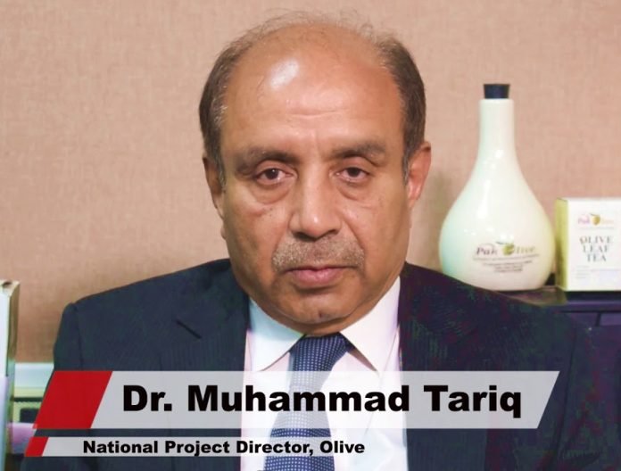 Over 100 enterprises now operating in Pakistan’s olive sector