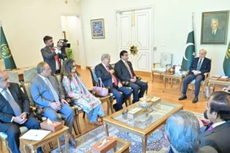 PPP delegation meets PM Shehbaz Sharif to discuss political and regional situation