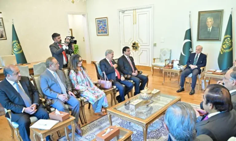 PPP delegation meets PM Shehbaz Sharif to discuss political and regional situation PPP delegation meets PM Shehbaz Sharif to discuss political and regional situation