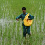 Federal Food Security Minister Rana Tanveer Hussain chairs a Fertilizer Review Committee meeting to assess urea and DAP supplies and prices for Pakistan's Rabi season.