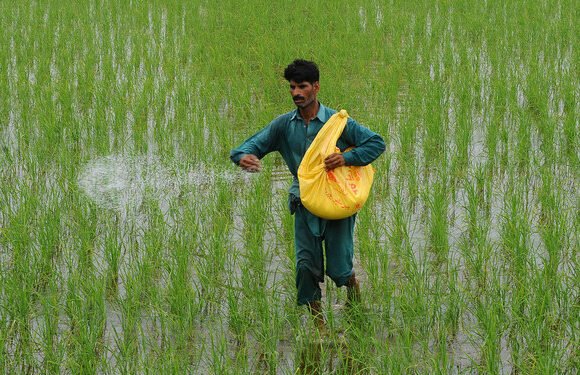 Government Rules Out Fertilizer Shortage, Seeks Lower Urea Prices Before Crop Season