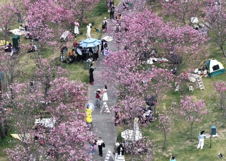 Tourists travel during holidays in China as policymakers discuss holiday reforms to boost consumption.