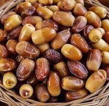 Rs592m project planned in Khairpur to boost date exports