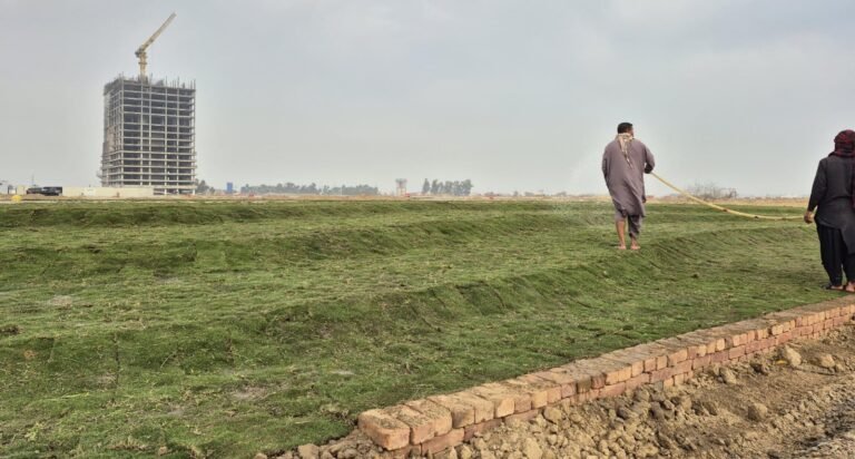 CBD Punjab allocates 55.9 acres for green development at NSIT City