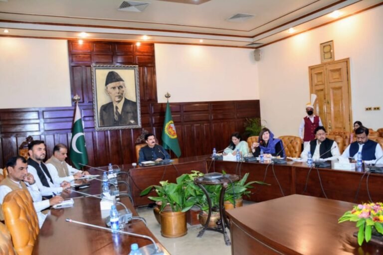 PID Peshawar briefs Governor Faisal Karim Kundi on digital media and communication strategy