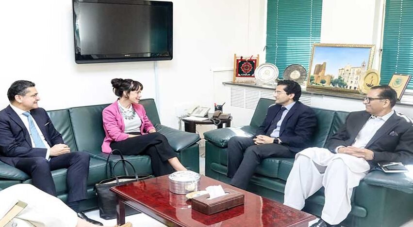 Pakistan pitches wider mining opportunities to Swedish firms beyond Reko Diq