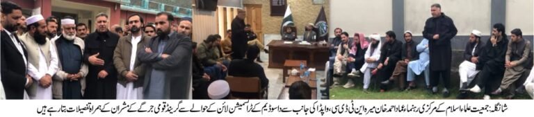 Shangla jirga halts NTDC work on Dasu transmission line over compensation concerns