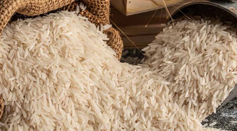 Indian basmati rice sacks at a port as the Iran conflict disrupts exports and raises trade risks for Pakistan.