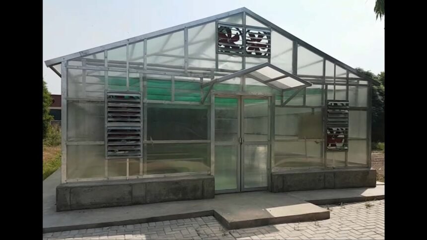 Pakistan’s ‘Smart Glasshouse’ begins testing crops for heat, drought resilience