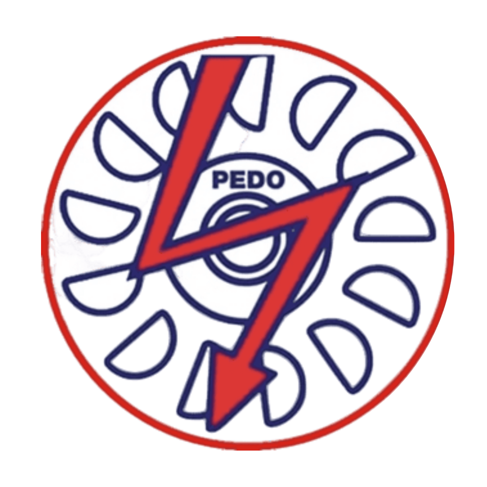 PEDO holds e-Khuli Kachehri to address public issues in Khyber Pakhtunkhwa