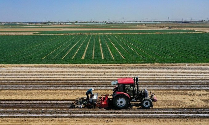 Pakistan can boost yields, cut 60% water losses by adopting China’s model: Wealth Pakistan