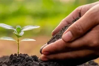 Rs1.3bn project planned to improve soil fertility, crop productivity